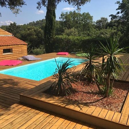 Villa Contemporaine Avec Piscine Au Calme Et Sans Vis-A-Vis Besse-sur-Issole Kültér fotó