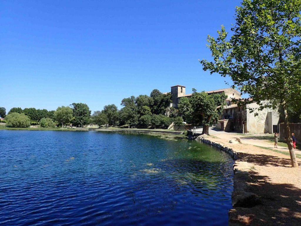 Villa Contemporaine Avec Piscine Au Calme Et Sans Vis-A-Vis Besse-sur-Issole Kültér fotó